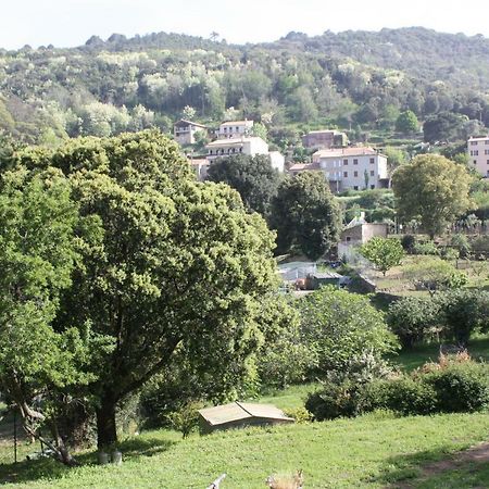 A Cardiccia Loc Saisonnieres Piana Apartment Piana  Luaran gambar