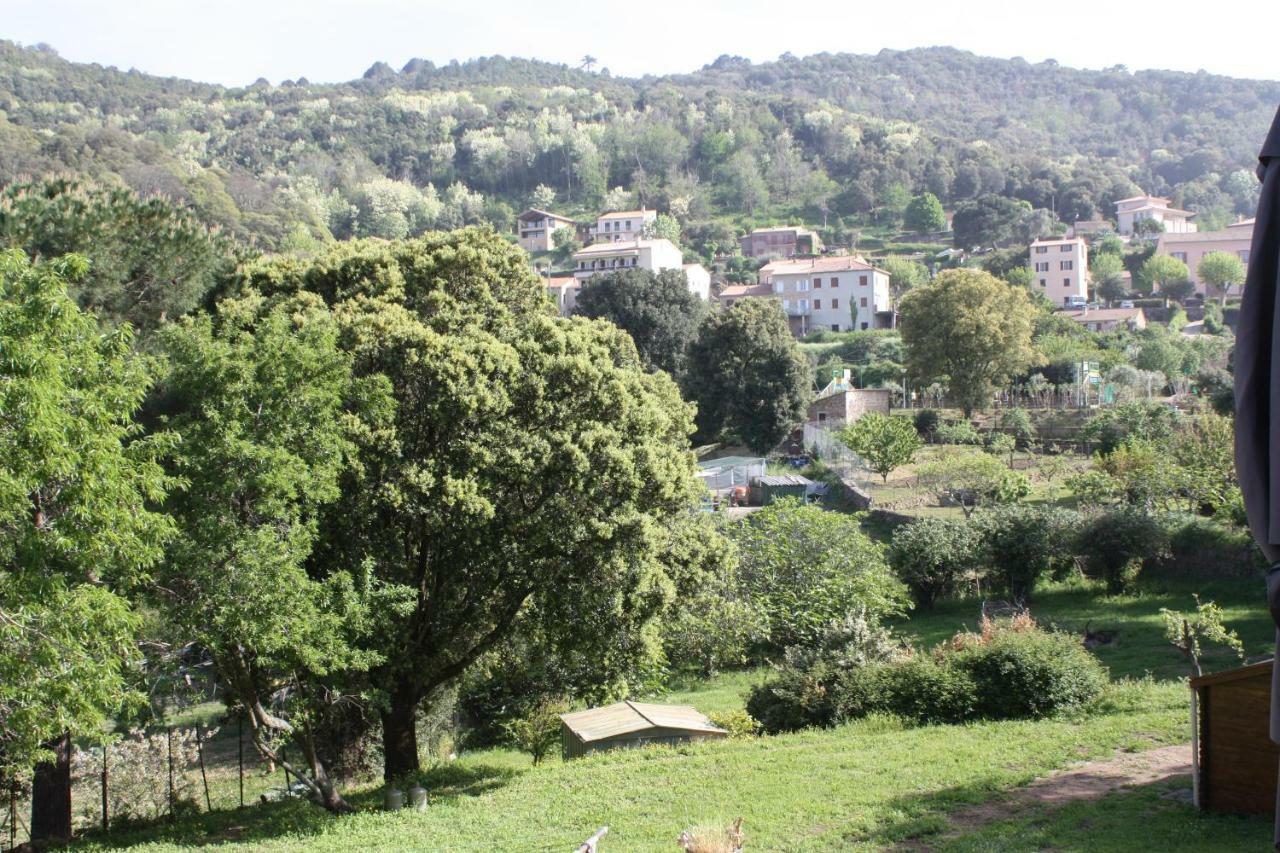 A Cardiccia Loc Saisonnieres Piana Apartment Piana  Luaran gambar